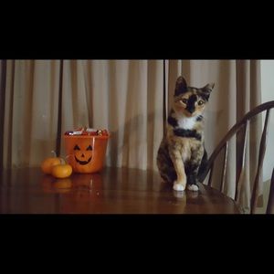 Meet your Posher, Lori